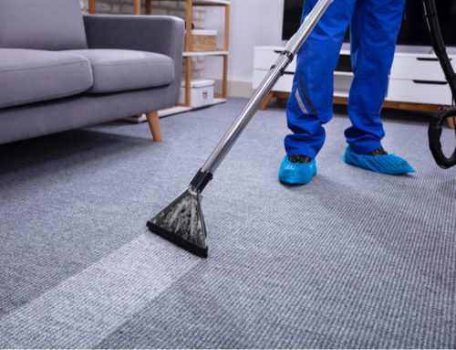 Best Carpet Cleaning Services in West Chicago Suburbs